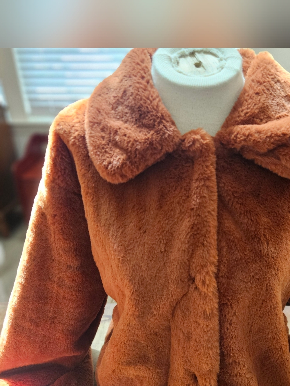 CIDER Burnt Orange Faux Fur Coat with Cinnamon Lining